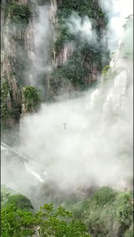 养宠物家庭适合哪种瓷砖?-58问答交流平台